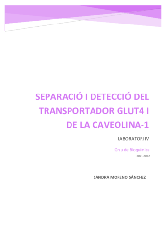 LAB-IV-P1-Informe-Western.pdf