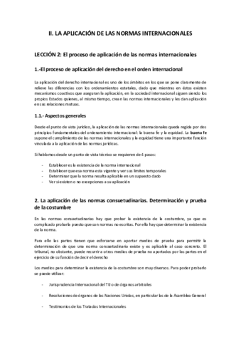 Tema-2PROCESO-APLICACION-NORMAS-INTERNACIONALES.pdf