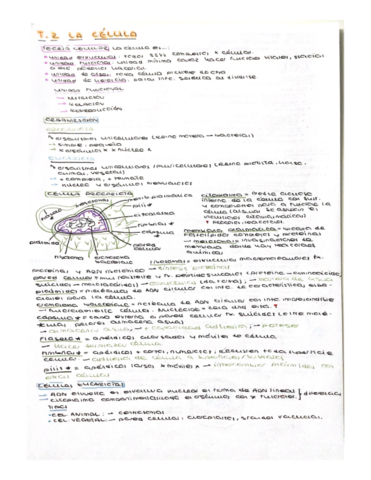 Tema-2-La-celula.pdf