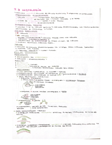 Tema-3-Histologia.pdf