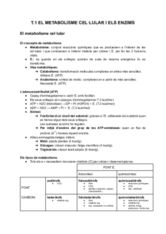 T1.pdf