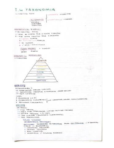 Tema-4-Taxonomia.pdf