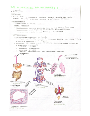 Tema-5-Nutricion-1.pdf