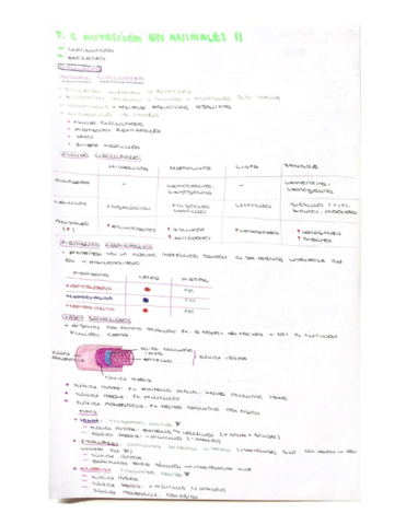 Tema-6-Nutricion-2.pdf