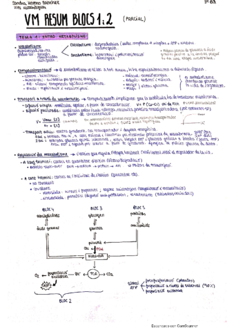 VM-resum-blocs-1-2.pdf