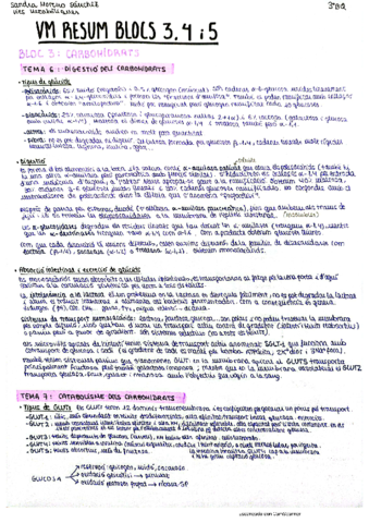VM-resum-blocs-3-4-5.pdf