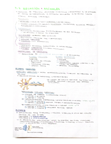 Tema-7-Relacion-animales.pdf