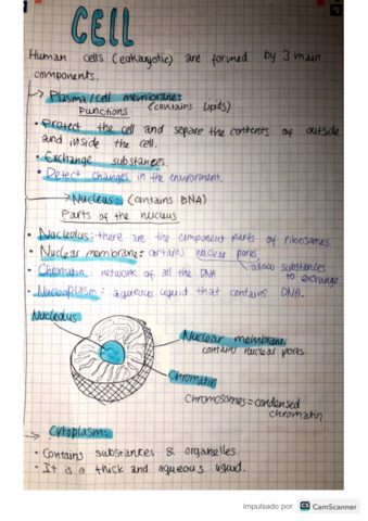 Cell-and-organelles-Biology.pdf