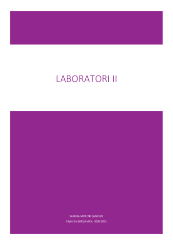 Lab-II-apunts.pdf