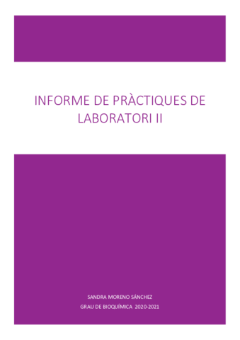 Lab-II-informe-de-practiques.pdf