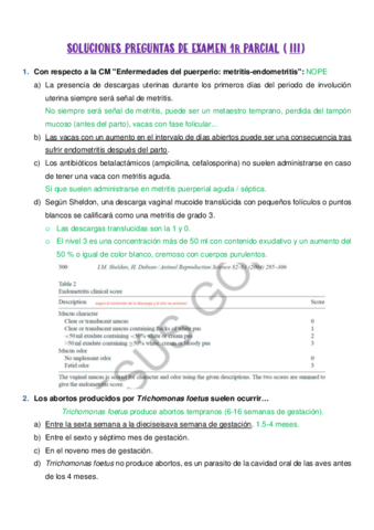 SOLUCIONES-PREGUNTAS-DE-EXAMEN-1r-PARCIAL-III.pdf