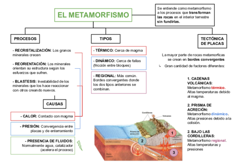 El-metamorfismo.pdf