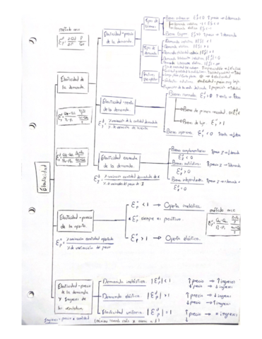 ESQUEMA-ELASTICIDADES.pdf