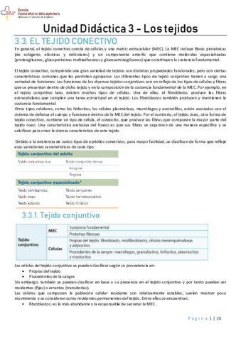 TEJIDO-CONECTIVO.pdf