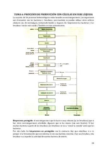 TEMA-6-PROCESOS-INDUSTRIALES-BIOTECNOLOGICOS.pdf