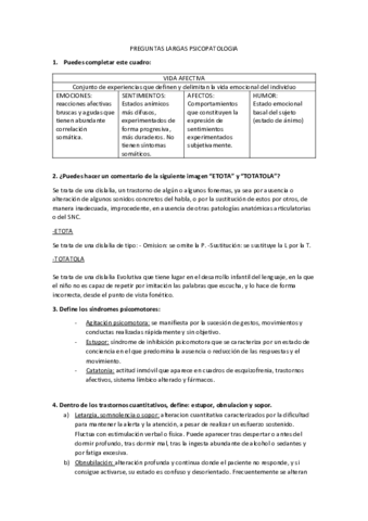 PREGUNTAS-LARGAS-PSICOPATOLOGIA.pdf