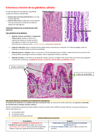 Estructura-y-funcion-de-las-glandulas-salivales-I.pdf
