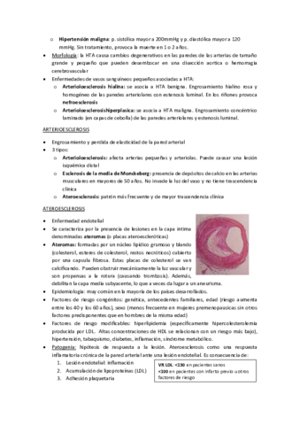 APARATO-CARDIOVASCULAR-II.pdf