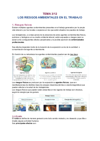 T3-LOS-RIESGOS-AMBIENTALES-EN-EL-TRABAJO.pdf