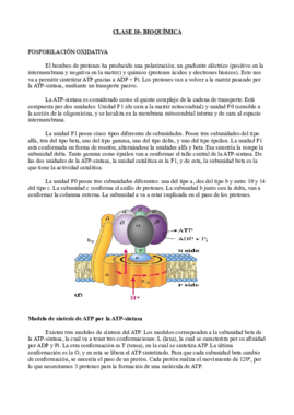 Clase 10- Bioquímica.pdf
