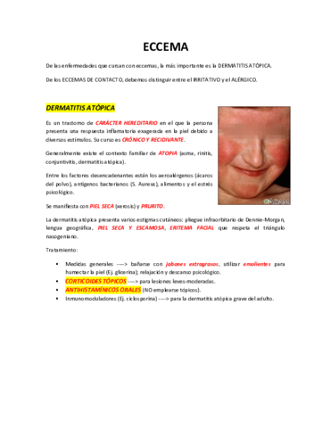 ECCEMA.pdf
