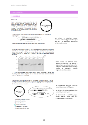 EGA-problemes-T1-2.pdf