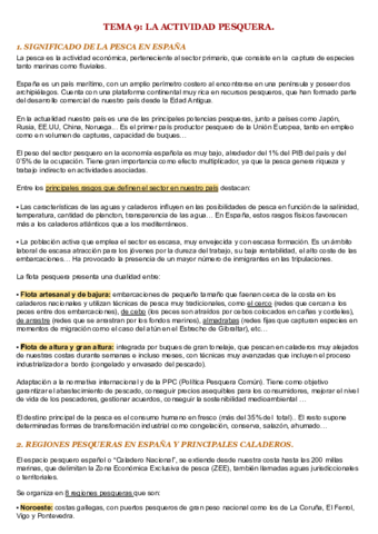 TEMA-9.pdf