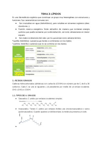 TEMA-3-LIPIDOS-SAMUEL-L.pdf