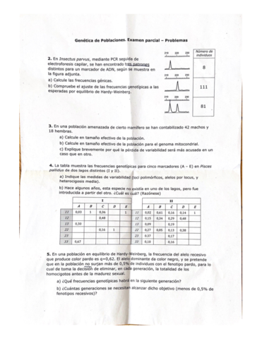 parcial-I.pdf