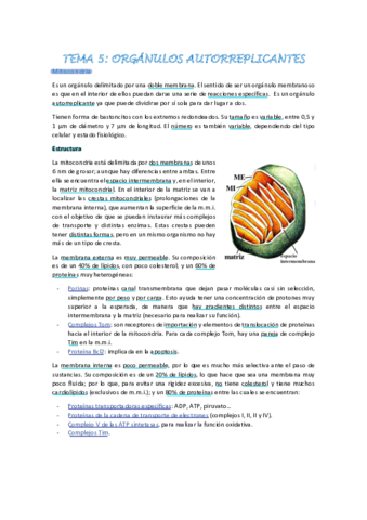 Biologia-celular-tema-5.pdf