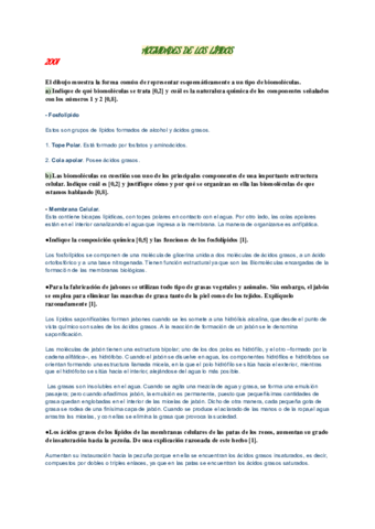 ACTIVIDADES-DE-LOS-LIPIDOS.pdf