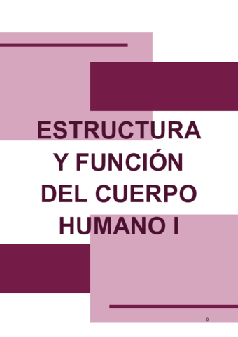 ESTRUCTURA-Y-FUNCION-DEL-CUERPO-HUMANO-I.pdf