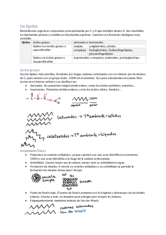 unidad-3-lipidos.pdf