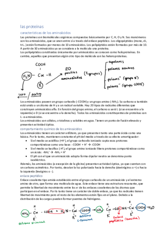 unidad-4-proteinas.pdf