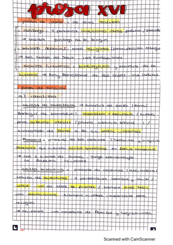 prosa-XVl-teatro-renacent.pdf