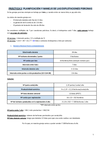 Practica-2.pdf