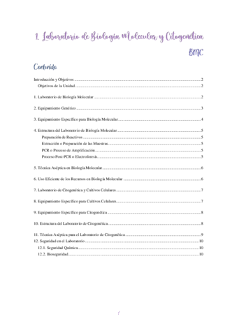 1. Lab de BMC.pdf