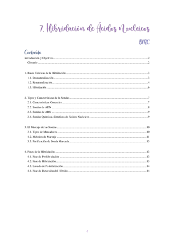 7. Hibridación de Á. Nucleicos.pdf
