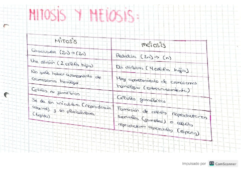 Mitosis-y-Meiosis.pdf