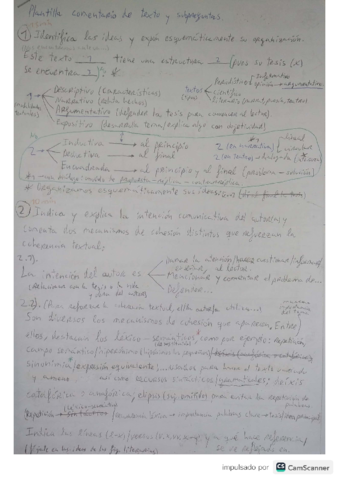 Plantilla-PEvAU-y-apuntes-morfologia.pdf