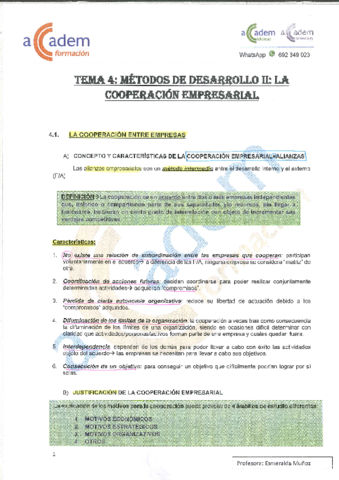 TEMA-4-DEEII.pdf