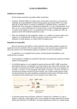 Clase 12- Bioquímica.pdf