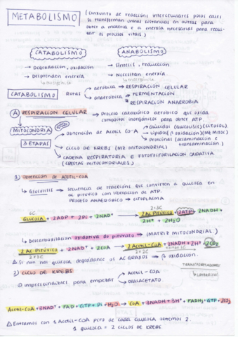 Resumen-2-Biologia-2o-Bachiller.pdf