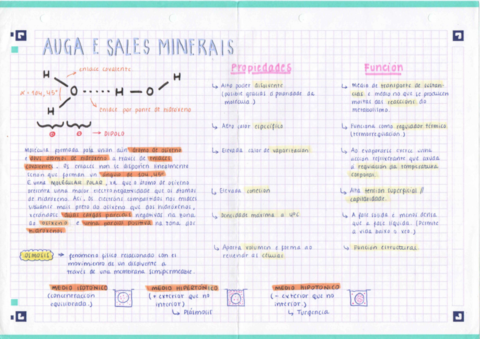 Resumen-1-Biologia-2o-Bachiller.pdf