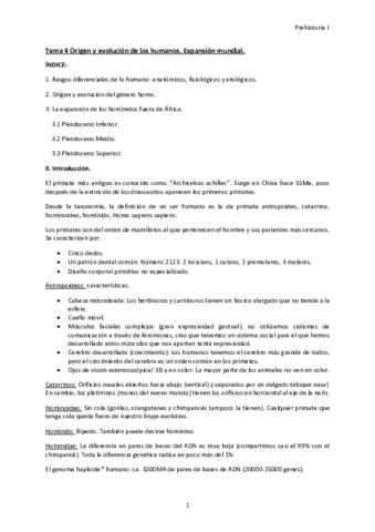 tema-4-Prehistoria-1.pdf