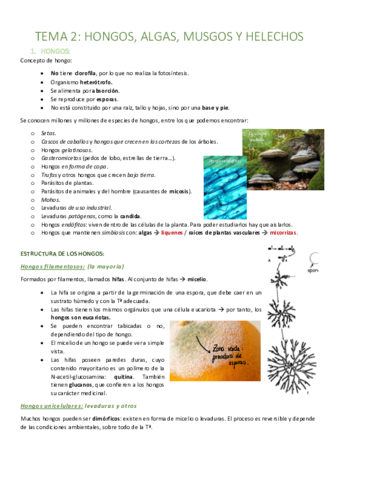 TEMA-2-Hongos-algas-musgos-y-helechos.pdf