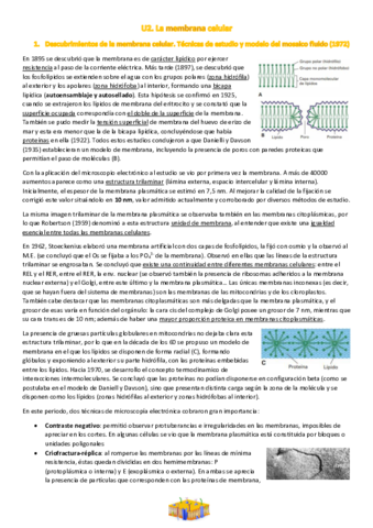 U2. La membrana celular.pdf