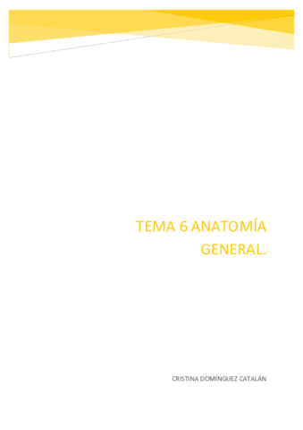 Tema 6 Anatomia Pdf