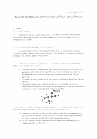 Boletin-1-BioQI.pdf