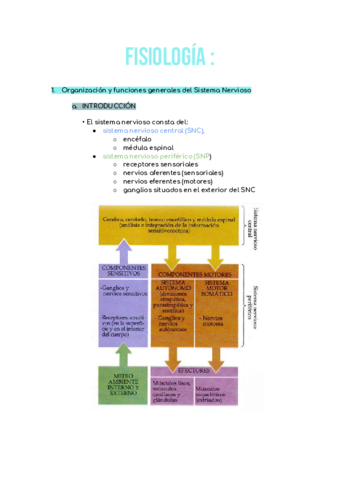 fisiologia-I.pdf